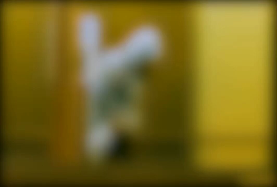 Knife Expert — The Silent Killer Returns expert in everything