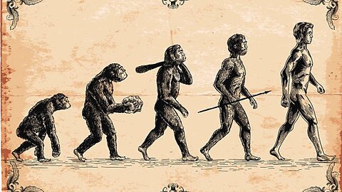 Treat People Like Animals...Because That's What We Are - (Feb 8th 2024)