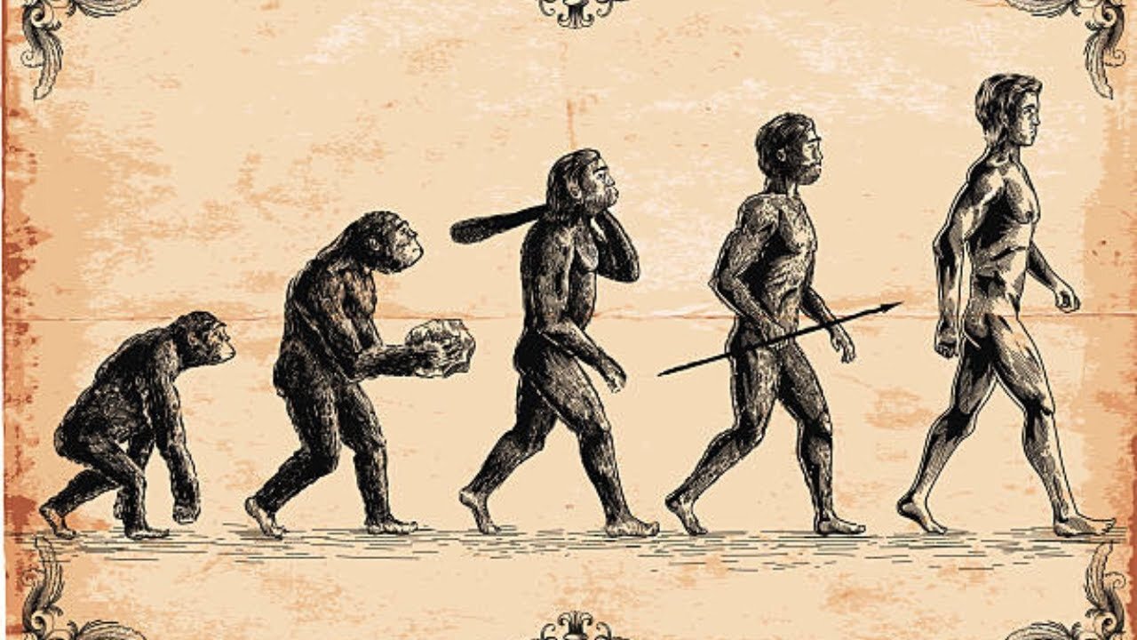 Treat People Like Animals...Because That's What We Are - (Feb 8th 2024)
