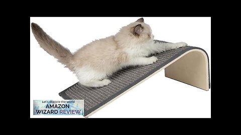 Best Pet Supplies Catify Sloped Sisal Cat Scratchers for Indoor Cats Climbing Review