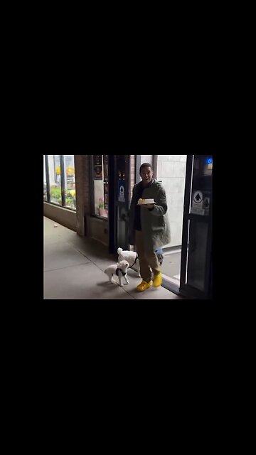 Bakery Fakery: Desperate Don Lemon's Latest Lame Cringe Video Takes The Cake And Falls Flat