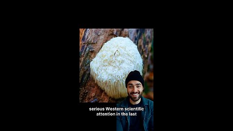 The Lion's Mane Mushroom Regrows Brain Cells Faster Than You Will Believe