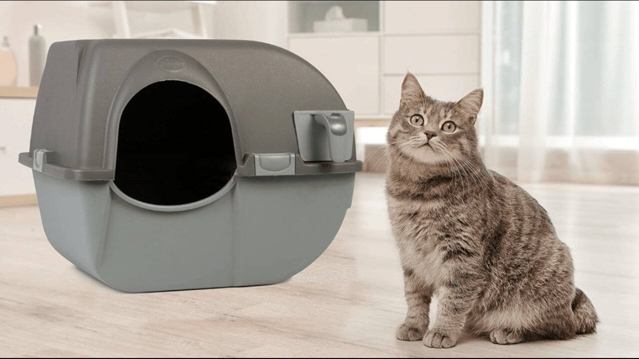 Omega Paw Roll 'n Clean Self Cleaning Litter Box, Brown, Large