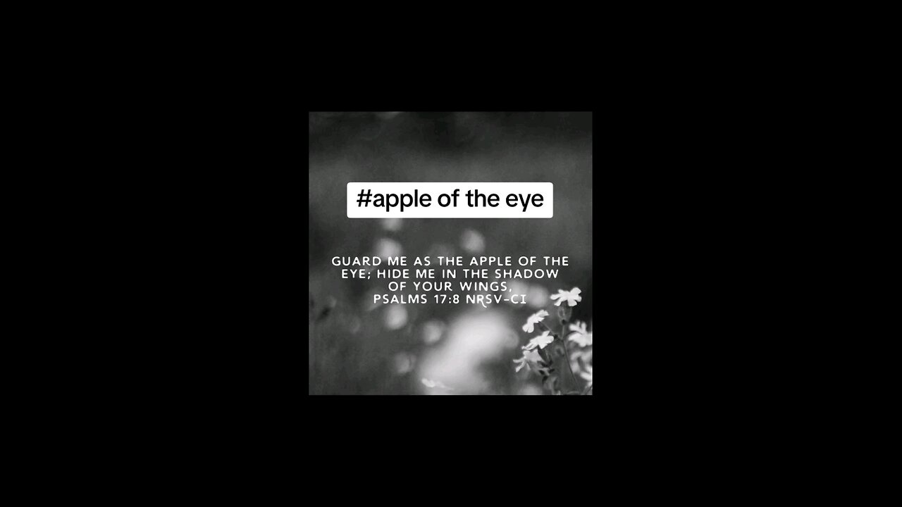 love verse #apple of the eye #biblebuild #bibleverse #bibleverseoftheday #bible