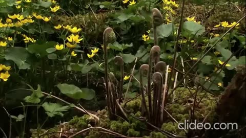 JAY-Z - Legacy (VIDEO)