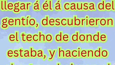 “Fe que abre el techo” macros 2-4 #shortvideo #shorts #youtubeshorts #reels #ytshorts #yt #youtube