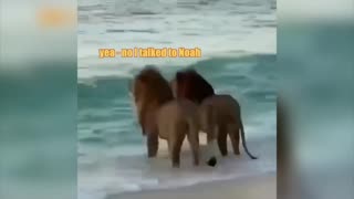 Best and Funny Animal Completion #funnyanimal