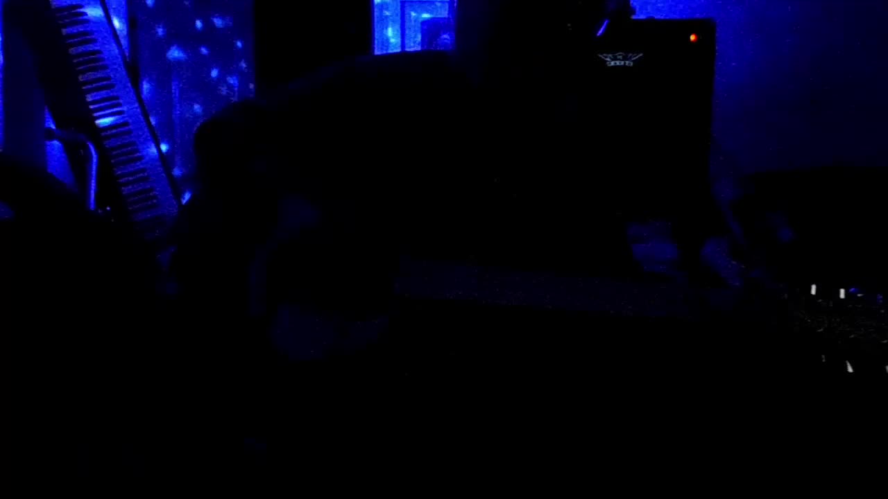 Move around w watcha Do