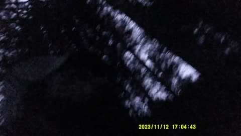 ULTIMA DOSE DI FUNGHI (12 11 2023) [II° PARTE]