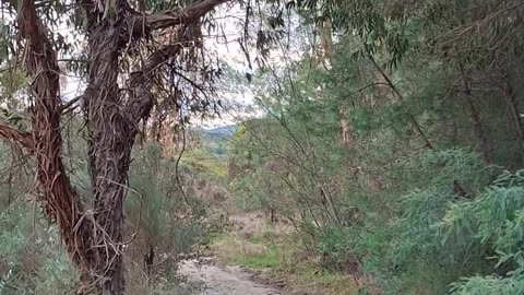 Followrism and the cult of authority: