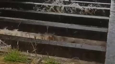 Chuvas forte deixa escada alagadas