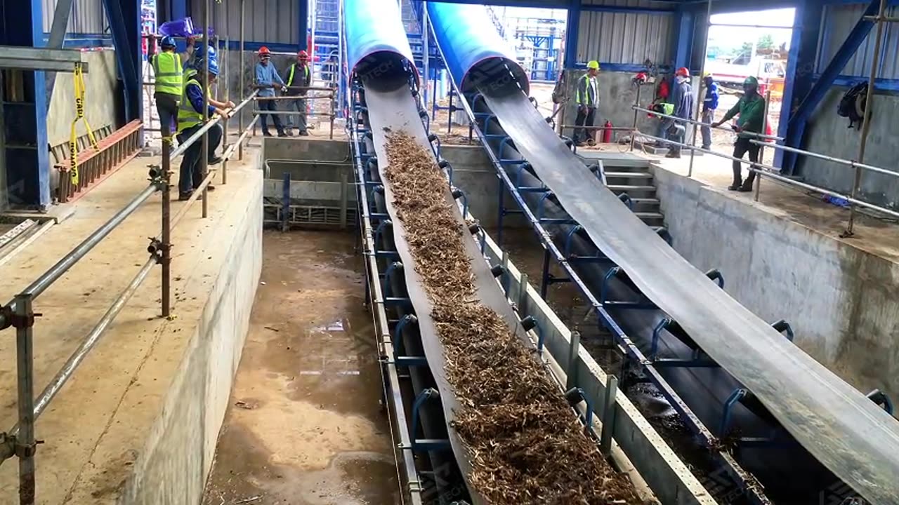 Belt Conveyor: The Reliable Backbone of Efficient Material Handling