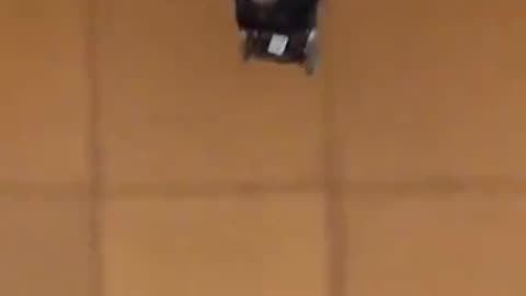 Before He Died He Lived