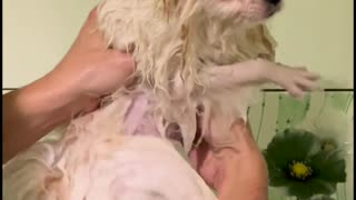 😂🛁 Wait For The Ending... Bath Time Fail | FunFM