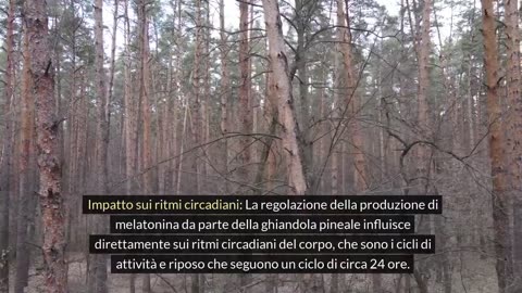 Segreti della Ghiandola Pineale: Melatonina, DMT, Misteri dell'Occhio Interiore e Calcificazione