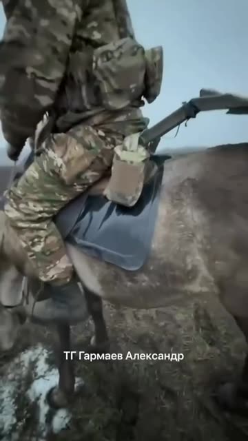 Horse and Starlink is the latest development in the Russian defense industry...