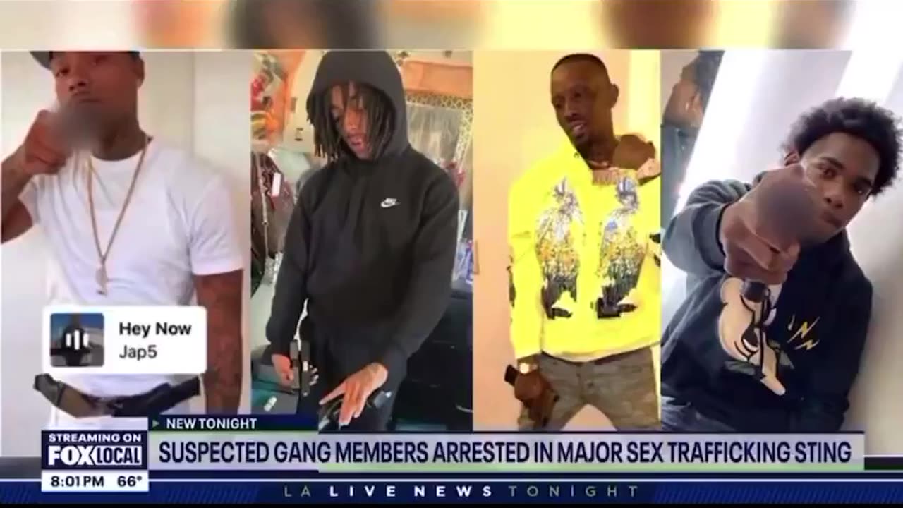 A sex trafficking bust in Los Angeles.: Members of the Hoover gang in South L.A.