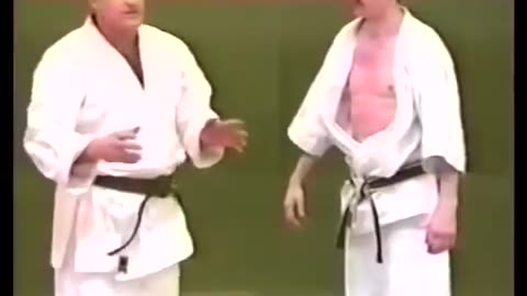 REAL KARATE KID TUTORIAL: One Strike, One Kill DIM MAK