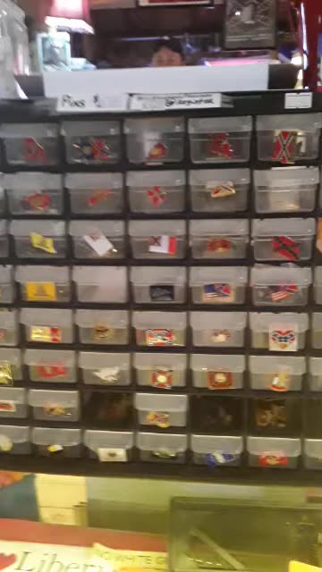 Rebel pins sits n spins