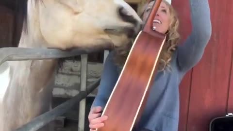 it is magnificently unwise to underestimate souls wearing 😘animal jackets