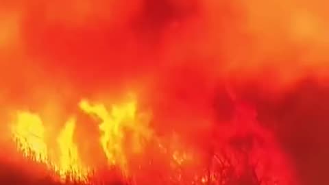 #Los Angeles fire latest news# viral america fire news# plz watch