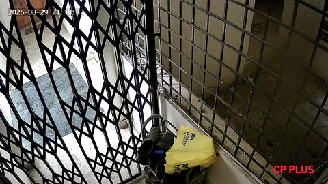 😱👻 Can Anyone Explain This Activity Captured Yesterday? | TheHauntingHour