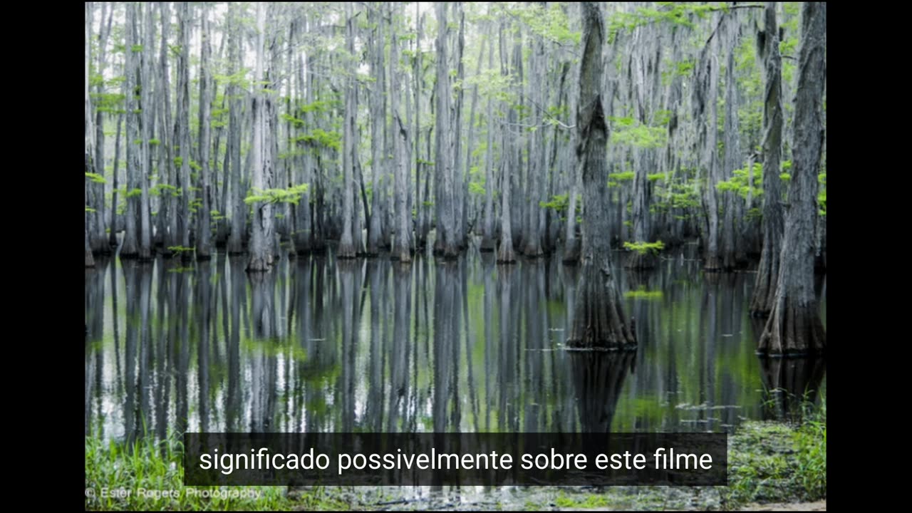 03.89.swamp-in-gin-ichimaru