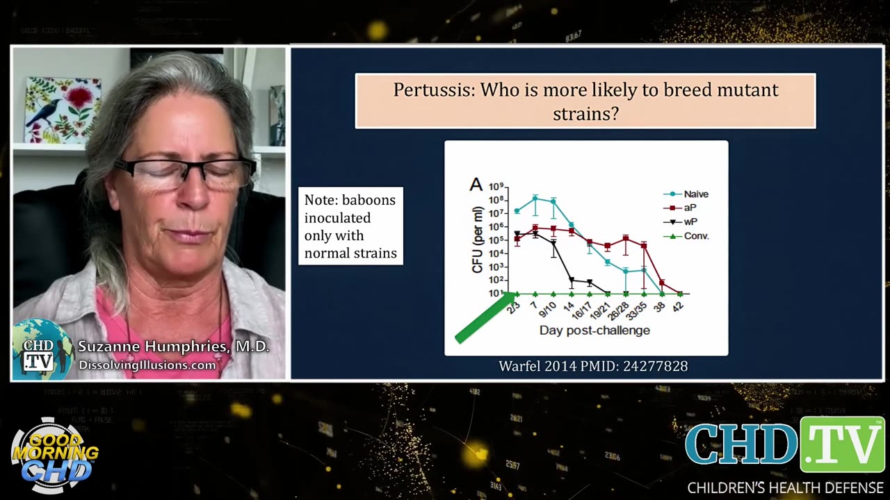 Should We Be Afraid of Whooping Cough?