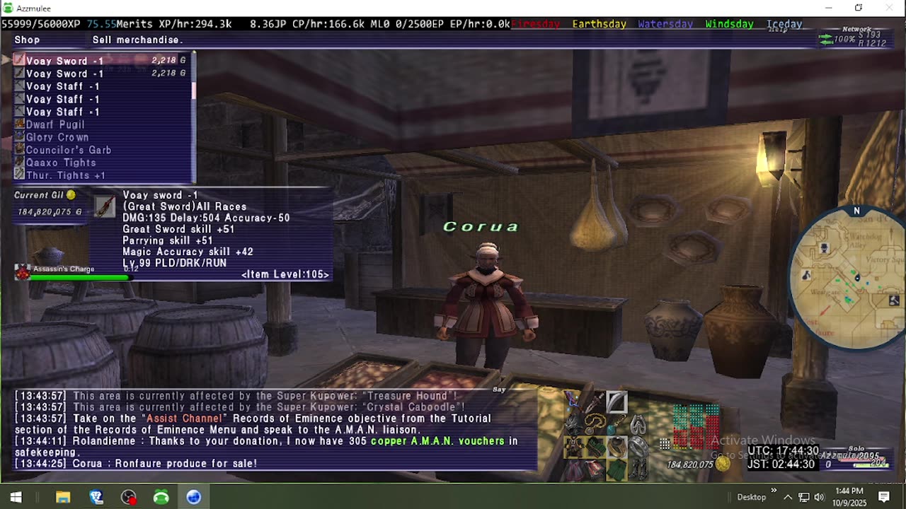 Playing Final Fantasy XI Online