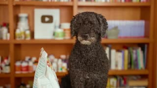Veterinary Secrets & Corporate Takeover...