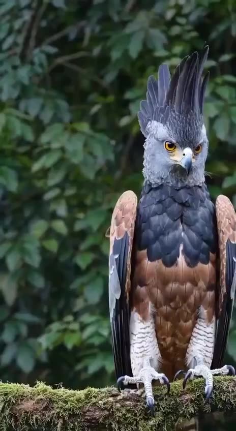 Für alle Neuen hier und die, die es nochmal lesen möchten zwei Posts von Juli