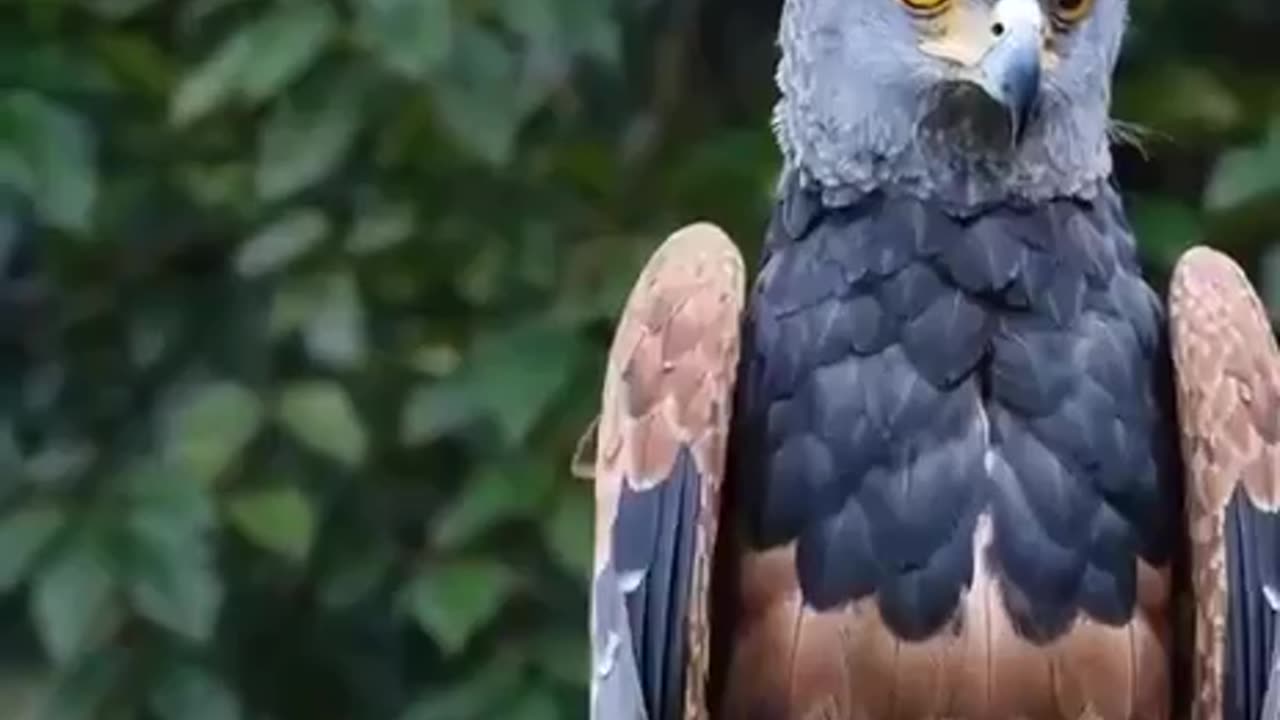 Für alle Neuen hier und die, die es nochmal lesen möchten zwei Posts von Juli