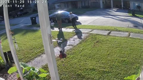 That Time My Pocket Bully Jumped in the Delivery Driver's Car