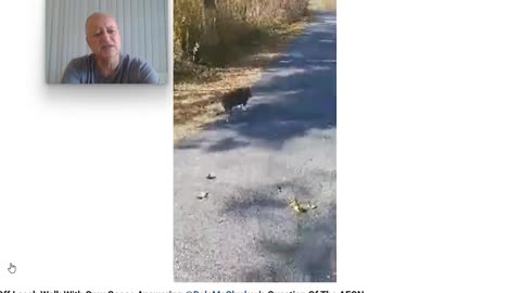 The Anti Dog Trainer and the Question of the Century - Pt 2