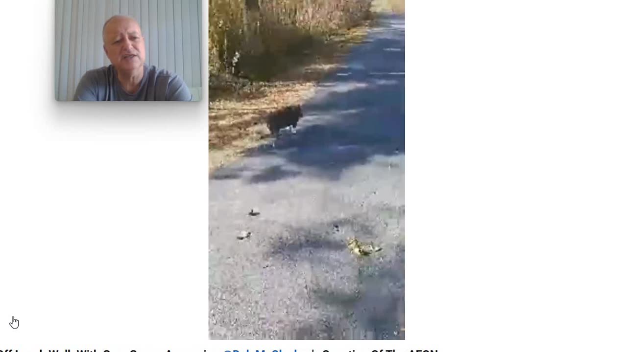 The Anti Dog Trainer and the Question of the Century - Pt 2