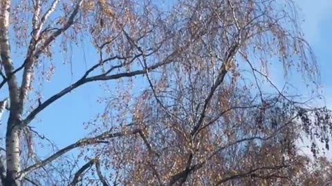 📹✈️ Ukraine Russia War | GoPro Footage of Border Guards Shooting Down Enemy Drone | RCF