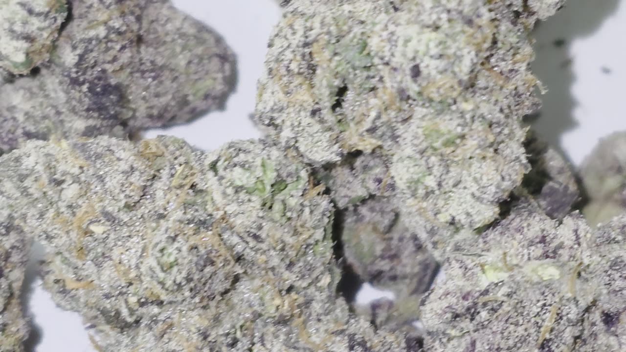 Brain Damage THC Flower