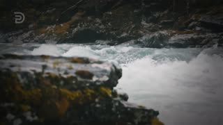 The Key to God’s Work in Us | Derek Prince