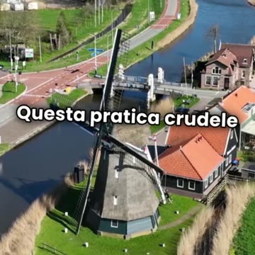 Quando il tapis roulant era una tortura, non un allenamento!