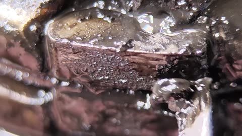 Freewheel bicycle bottom row bearings