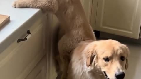 Best friends always help out