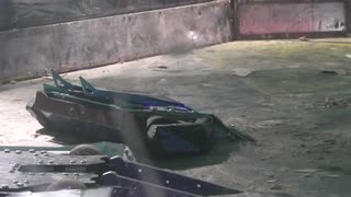 Robo Riots Dublin 2025: Monument Vs Immersion