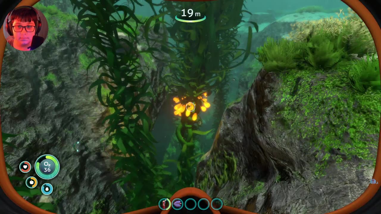 tente não virar comida de peixe comigo em SUBNAUTICA