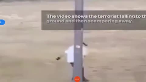 Bondi Beach Shooting - Footage Analysis