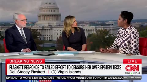 Plaskett | CNN interview about Epstein | Anyone associated with Epstein is most likely a child predator, knows of the human trafficking and demented deviant