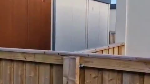 🚨Mullingar, Ireland🚨 A purpose built village for migrants situated inside a
