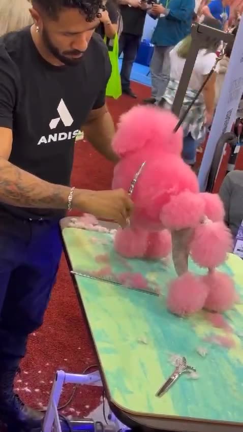 "Turned Dog hair into Cotton Candy!"