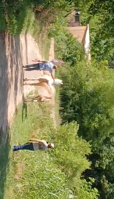 James Mathew's Stormy