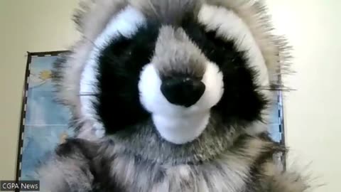 CGPA Puppet Sports Analyst Dave Clarke- On What's wrong with Carolina Panthers?...