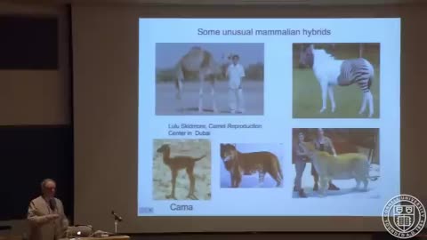 Hybrids & Chimeras Real and Imagined: Crossing Forbidden Boundaries 2011